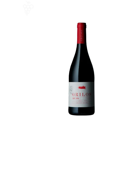 Global Wines / Grilos Dao Red Portuguese red blend bottle